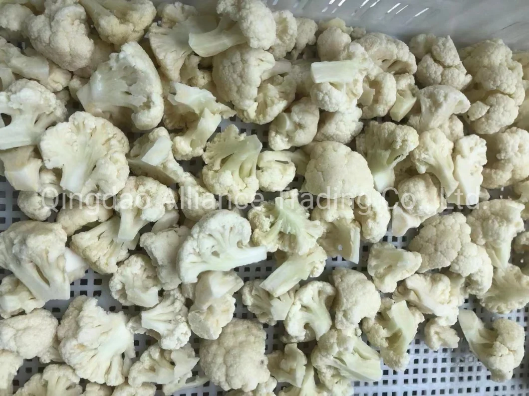 Factory Supplier Wholsale Bulk Price Frozen White Cauliflower IQF Organic Cauliflower for Exporting