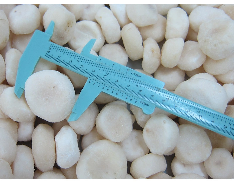 Sinocharm Brc a Wholesale Price Whole Frozen IQF Water Chestnut