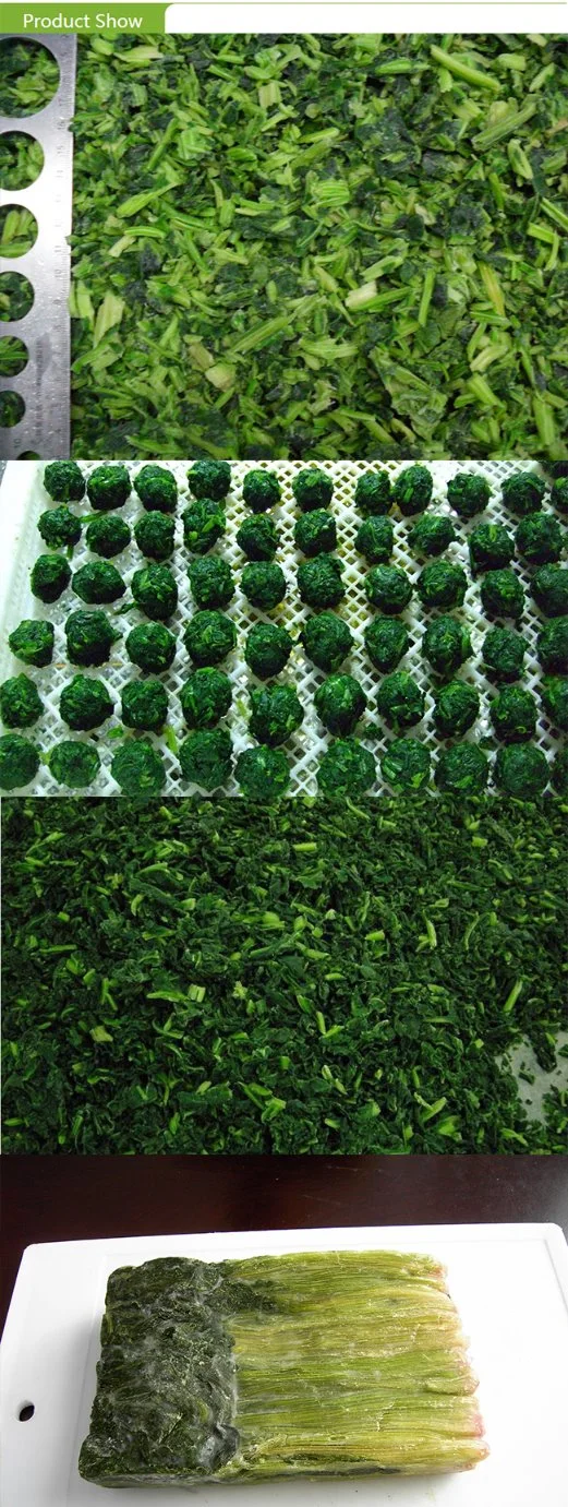 Bulk Sale IQF Vegetables Frozen Green Copped Spinach with Kosher Brc Certificates