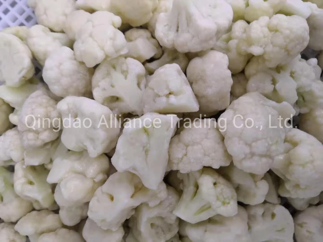 Factory Supplier Wholsale Bulk Price Frozen White Cauliflower IQF Organic Cauliflower for Exporting