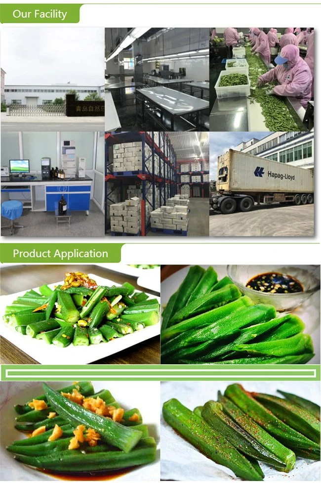 China IQF Frozen Whole Green Okra for Food Service Wholesaler