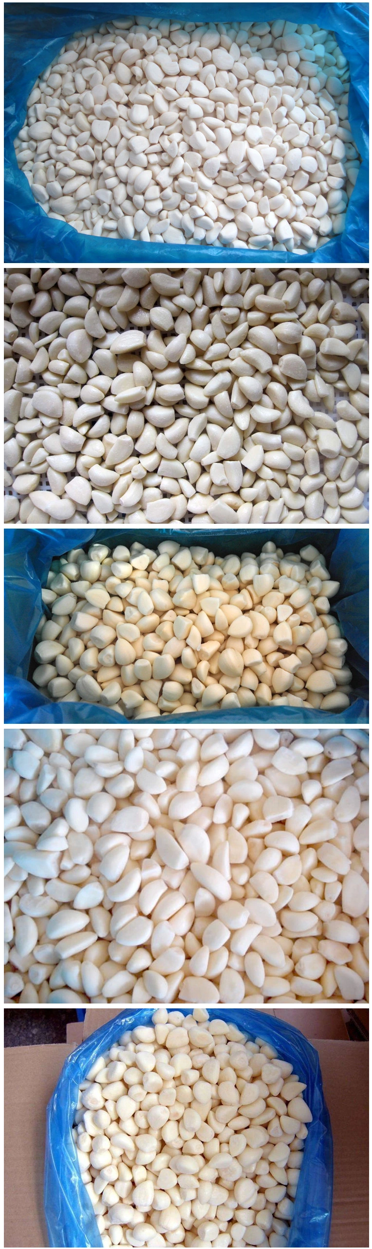 China White Frozen Garlic in 10kg Carton