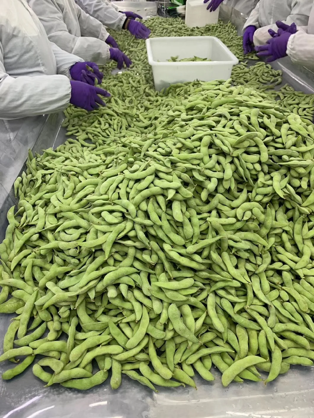 IQF Vegetsble Frozen Peeled Edamame From Factory Price