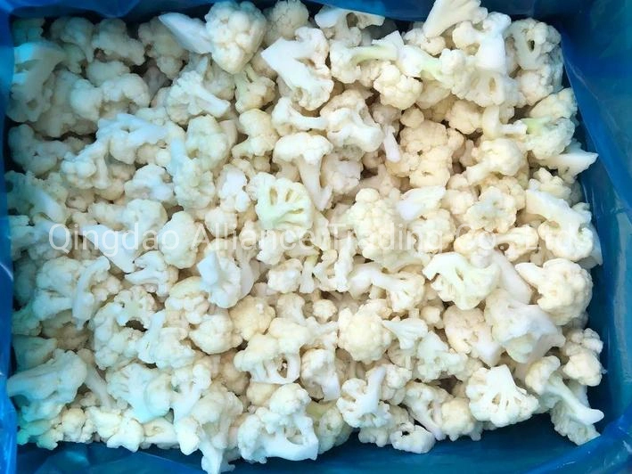 Factory Supplier Wholsale Bulk Price Frozen White Cauliflower IQF Organic Cauliflower for Exporting