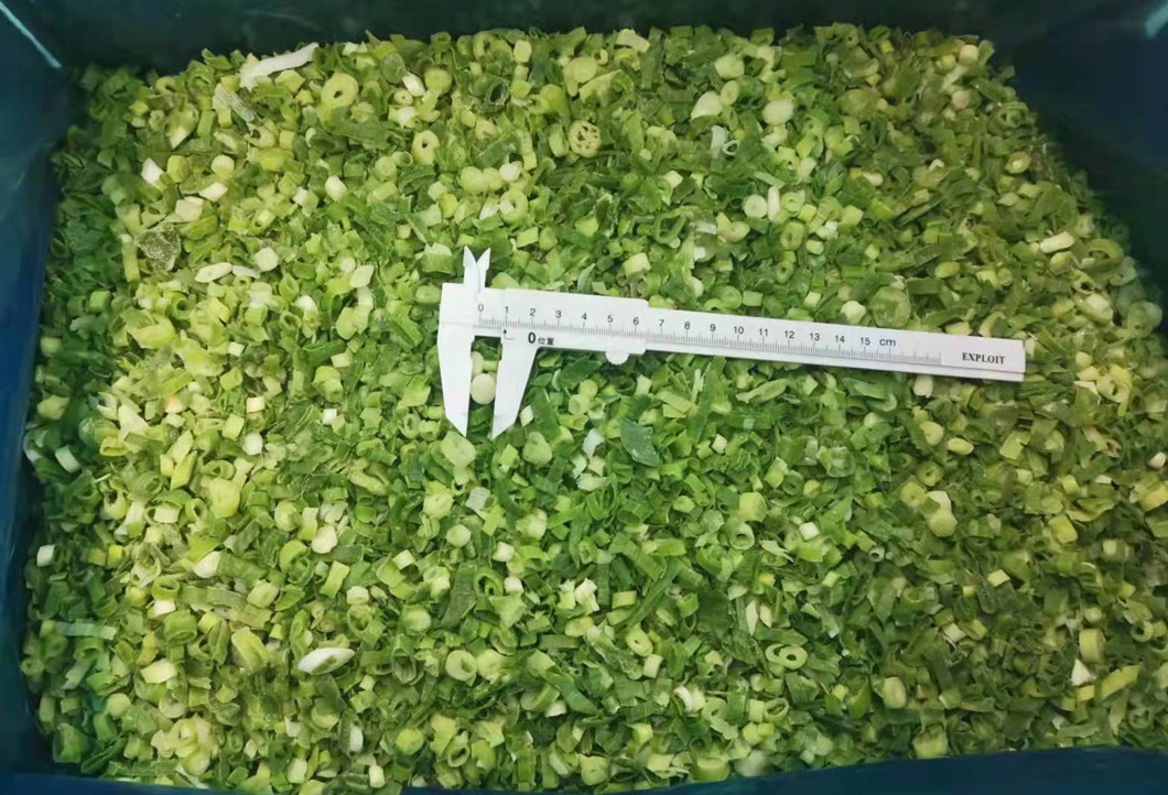 IQF Green Onion Cut, Frozen Spring Onion Cut