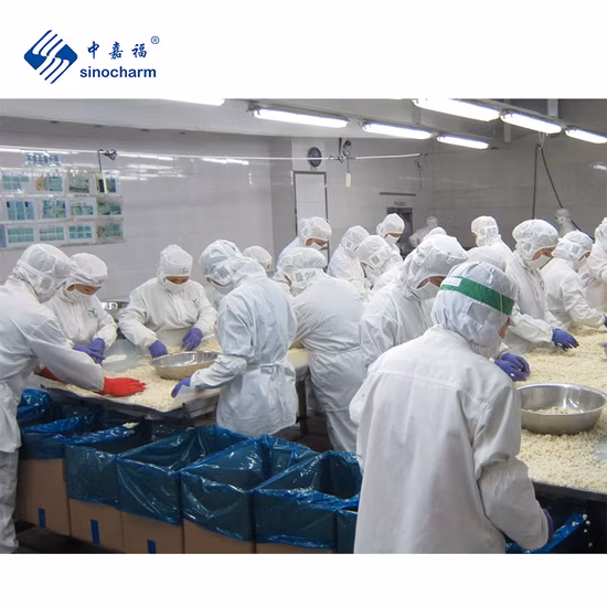  Sinocharm Brc — одобренный IQF нарезанный кубиками водяной каштан.  Нарезанный кубиками замороженный водяной каштан